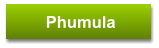 Phumula