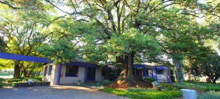 Accommodation, Bed and Breakfast, Midrand