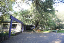 BigTreeBB Guest House and Conference Venue